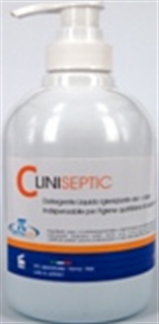 CLINISEPTIC Hygienic Liquid Soap 250 ml